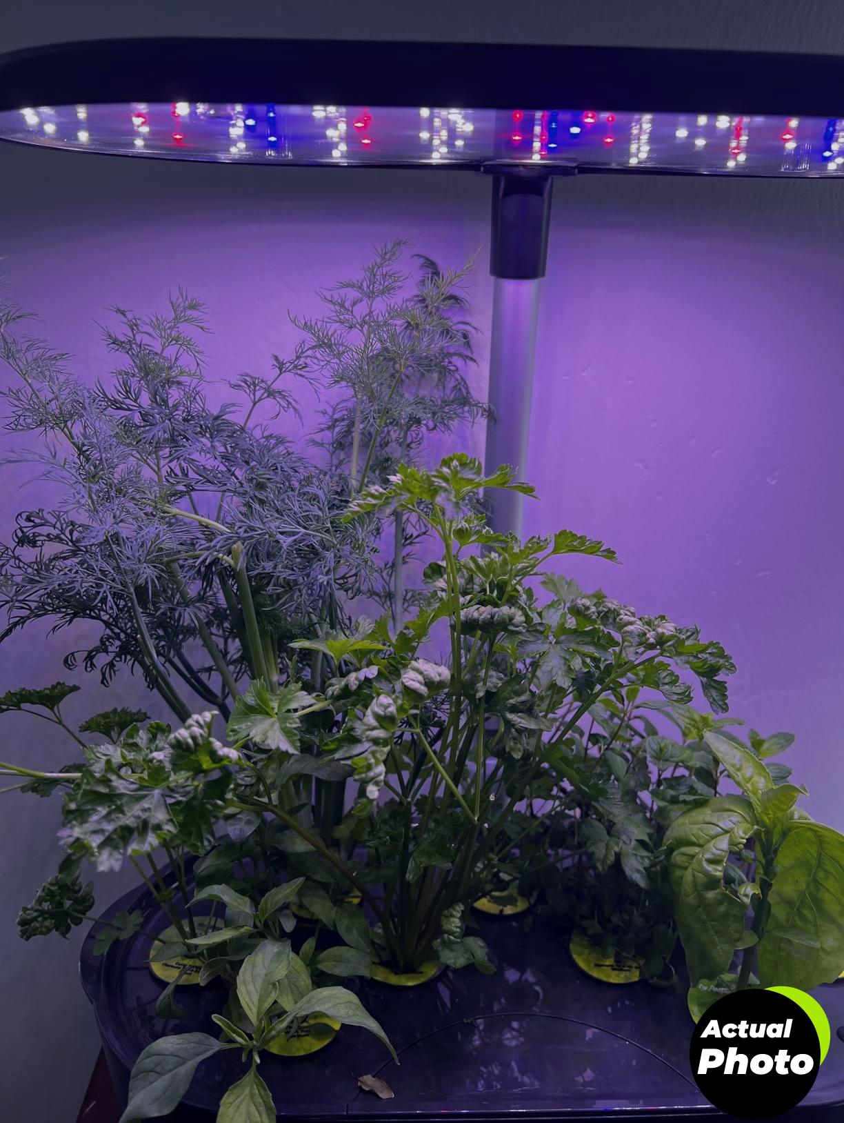 aerogarden-bounty-basic-indoor-garden-foto-1