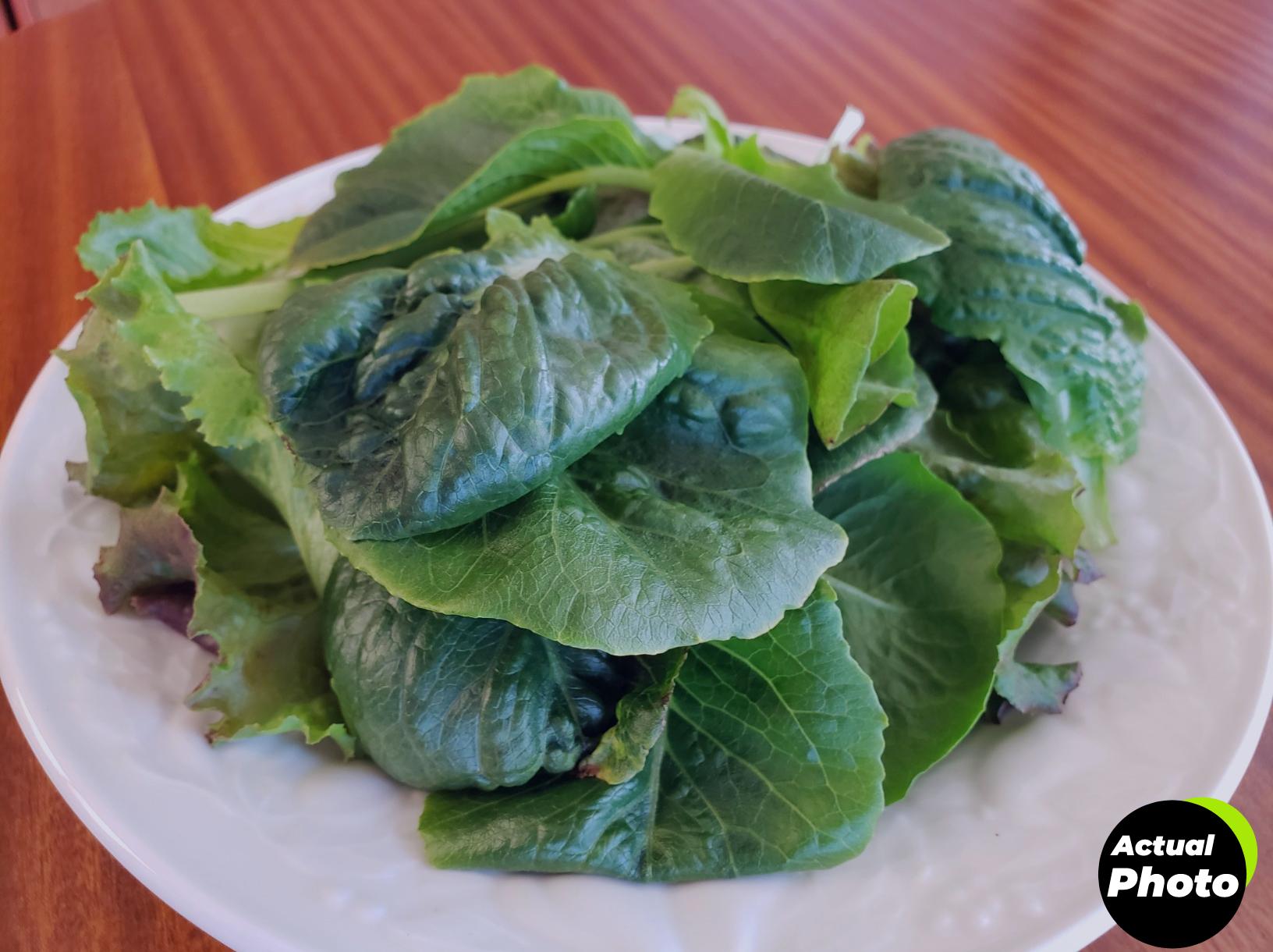 aerogarden-harvest-2-0-6-pods-foto-2