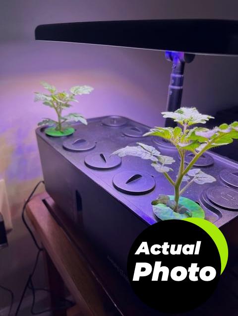 ahopegarden-indoor-hydroponic-system-10-pods-foto-2
