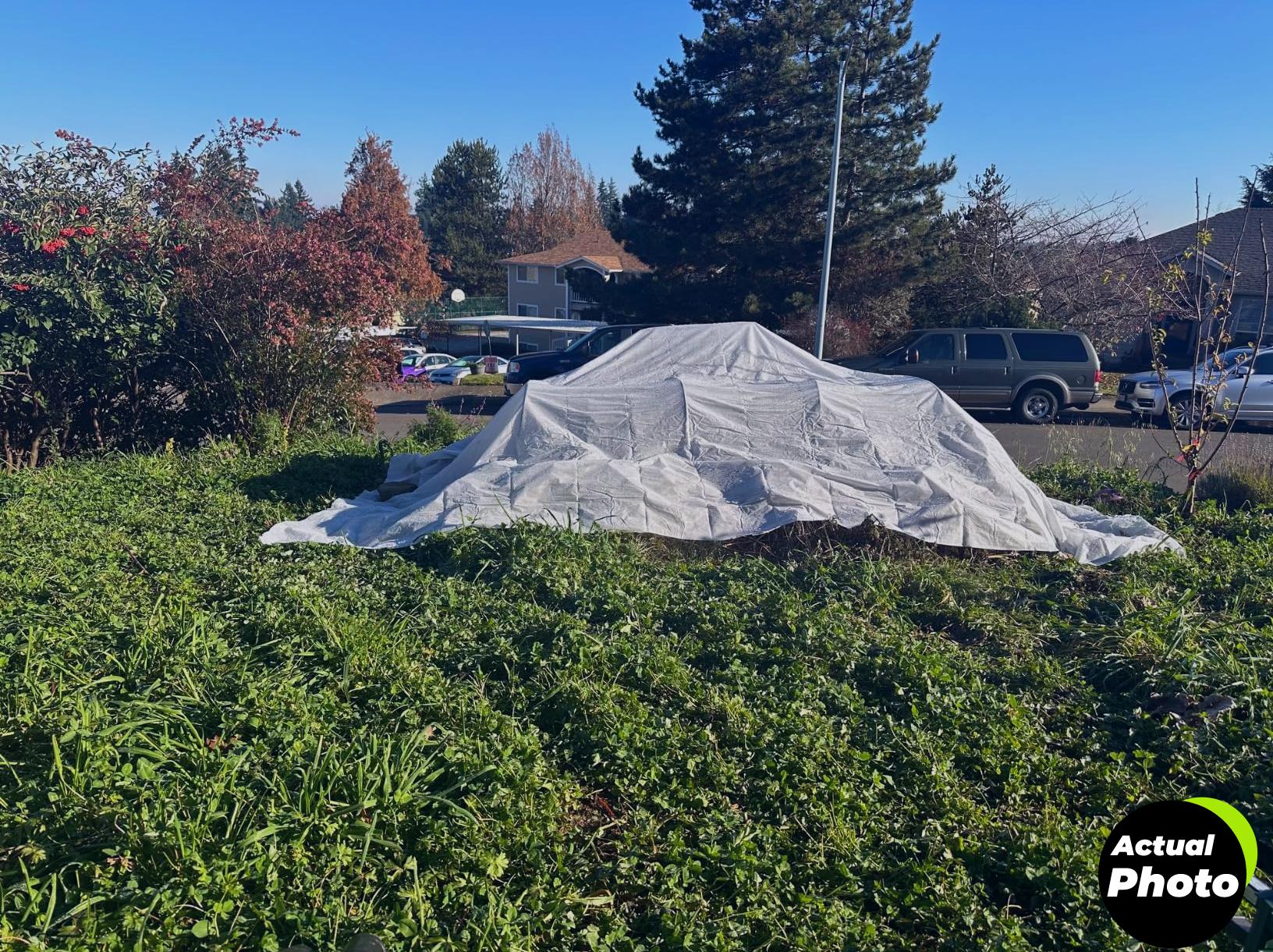 alpinereach-plant-covers-10x30-frost-protection-foto-1