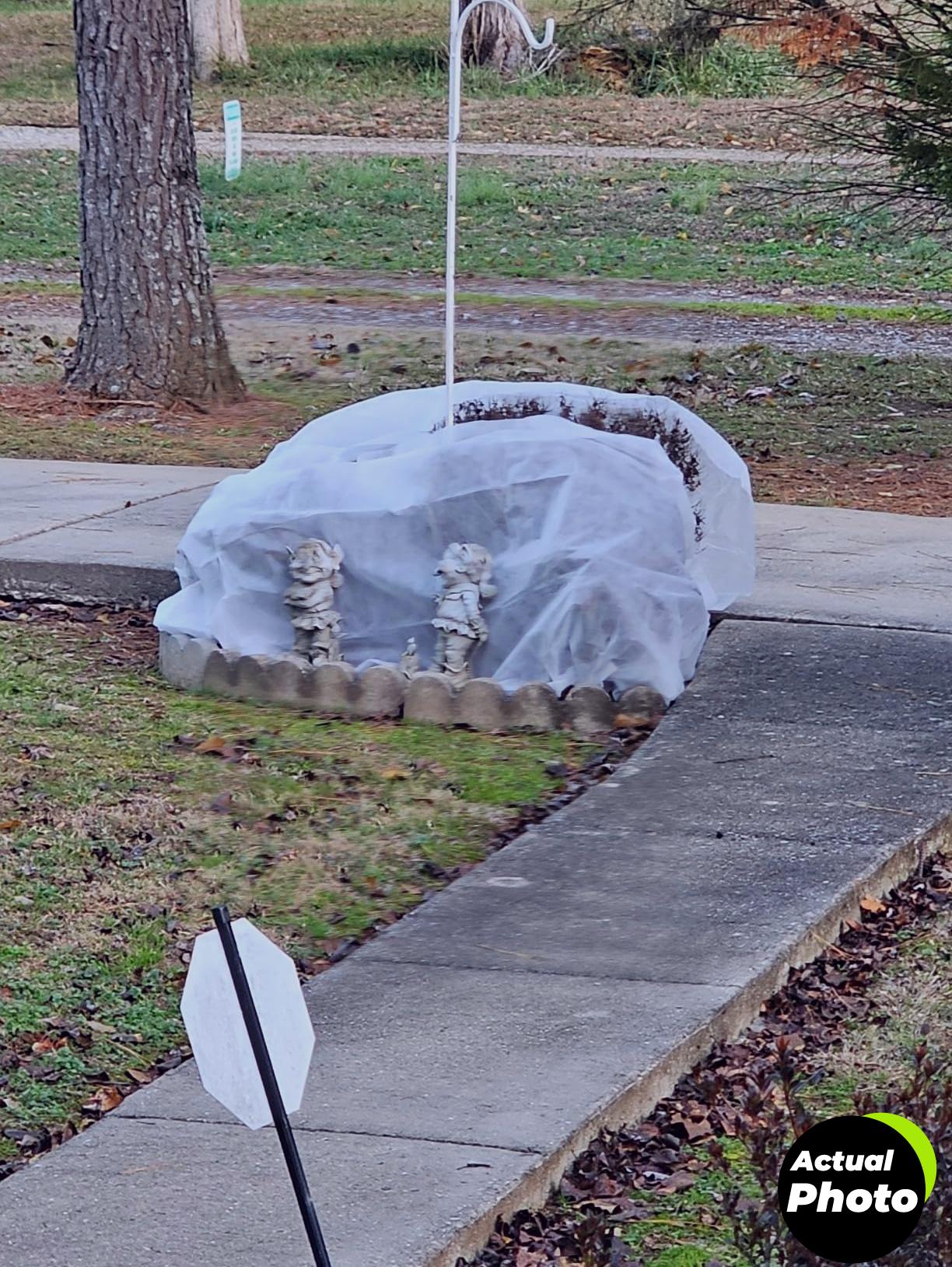 alpinereach-plant-covers-10x30-frost-protection-foto-2