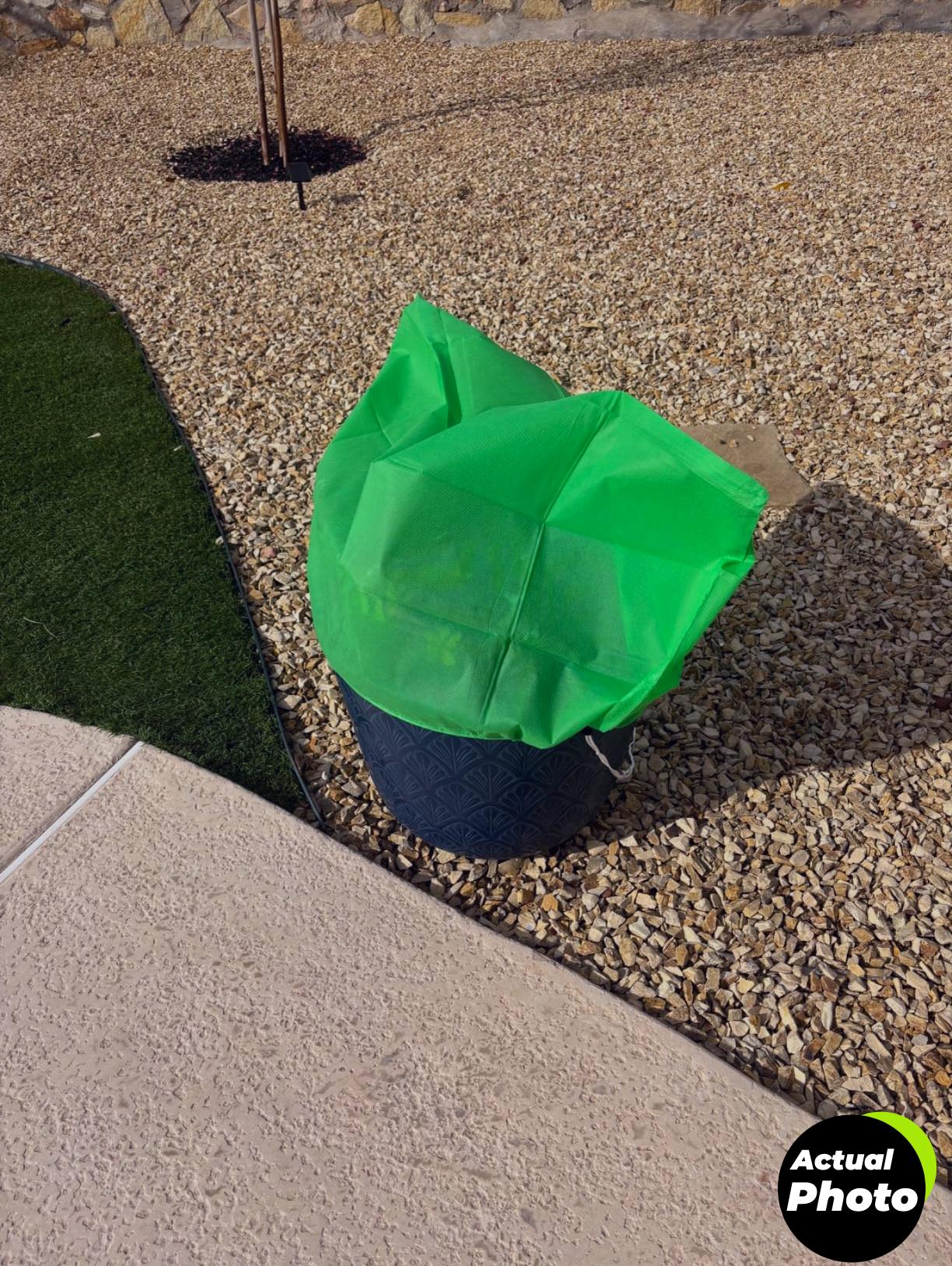 anphsin-plant-covers-3pcs-frost-protection-foto-1