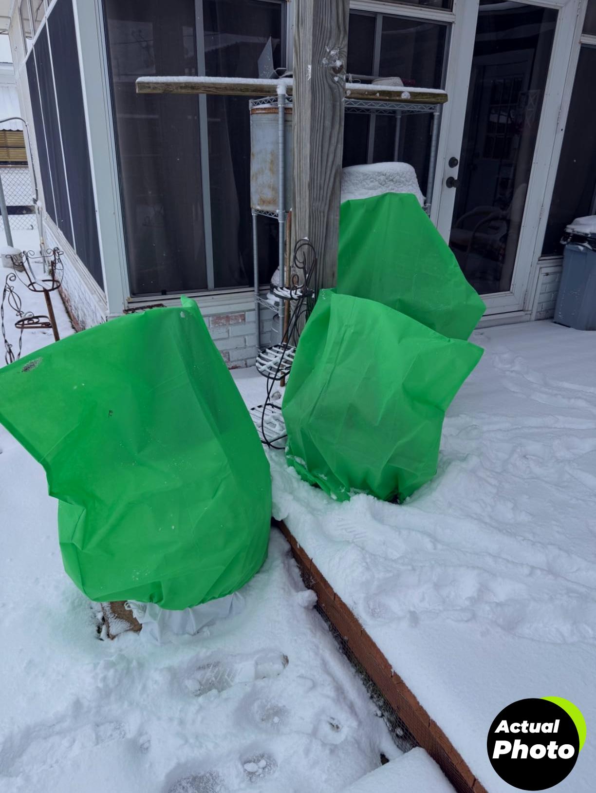anphsin-plant-covers-3pcs-frost-protection-foto-2