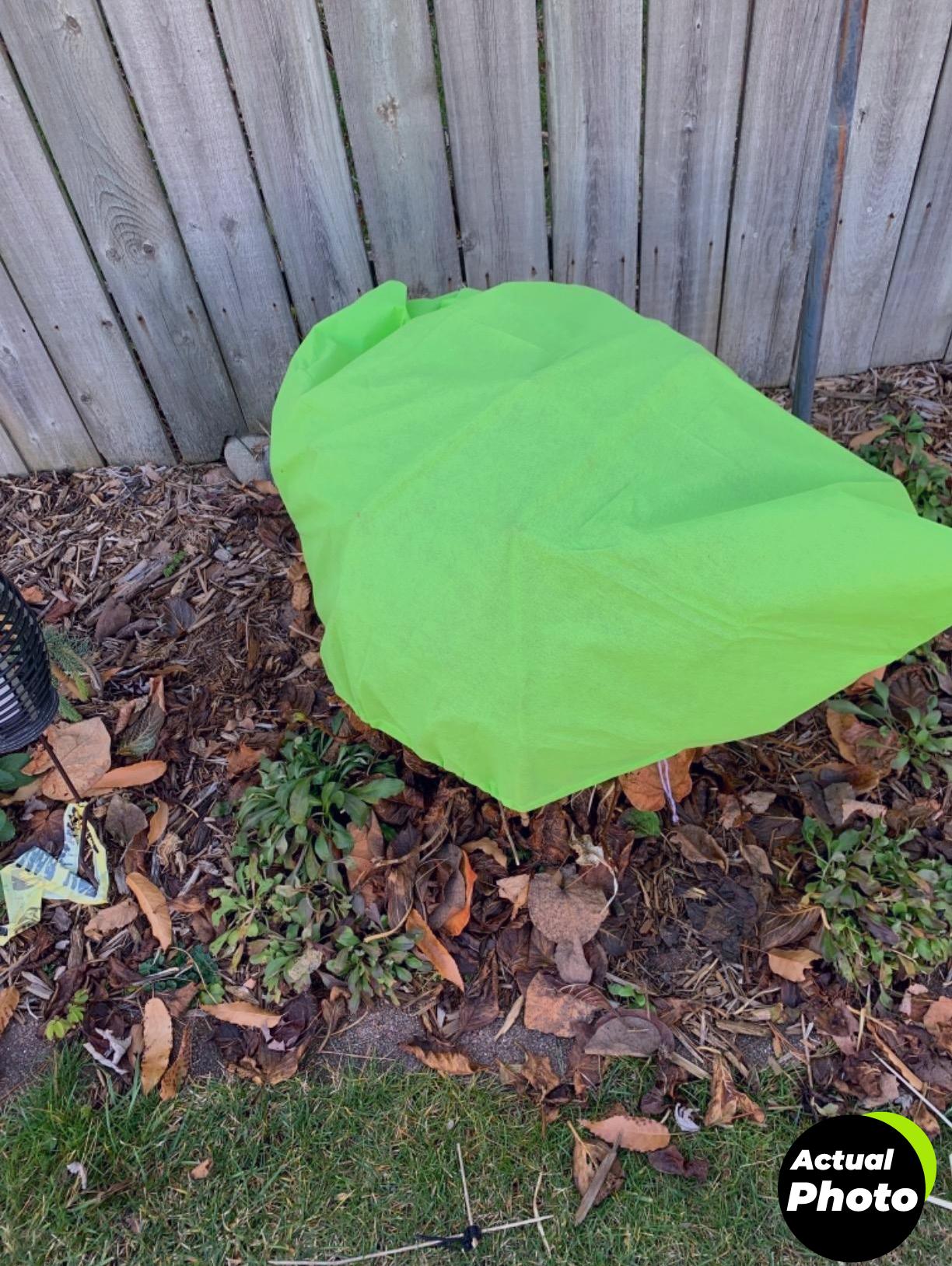 anphsin-plant-covers-3pcs-frost-protection-foto-3