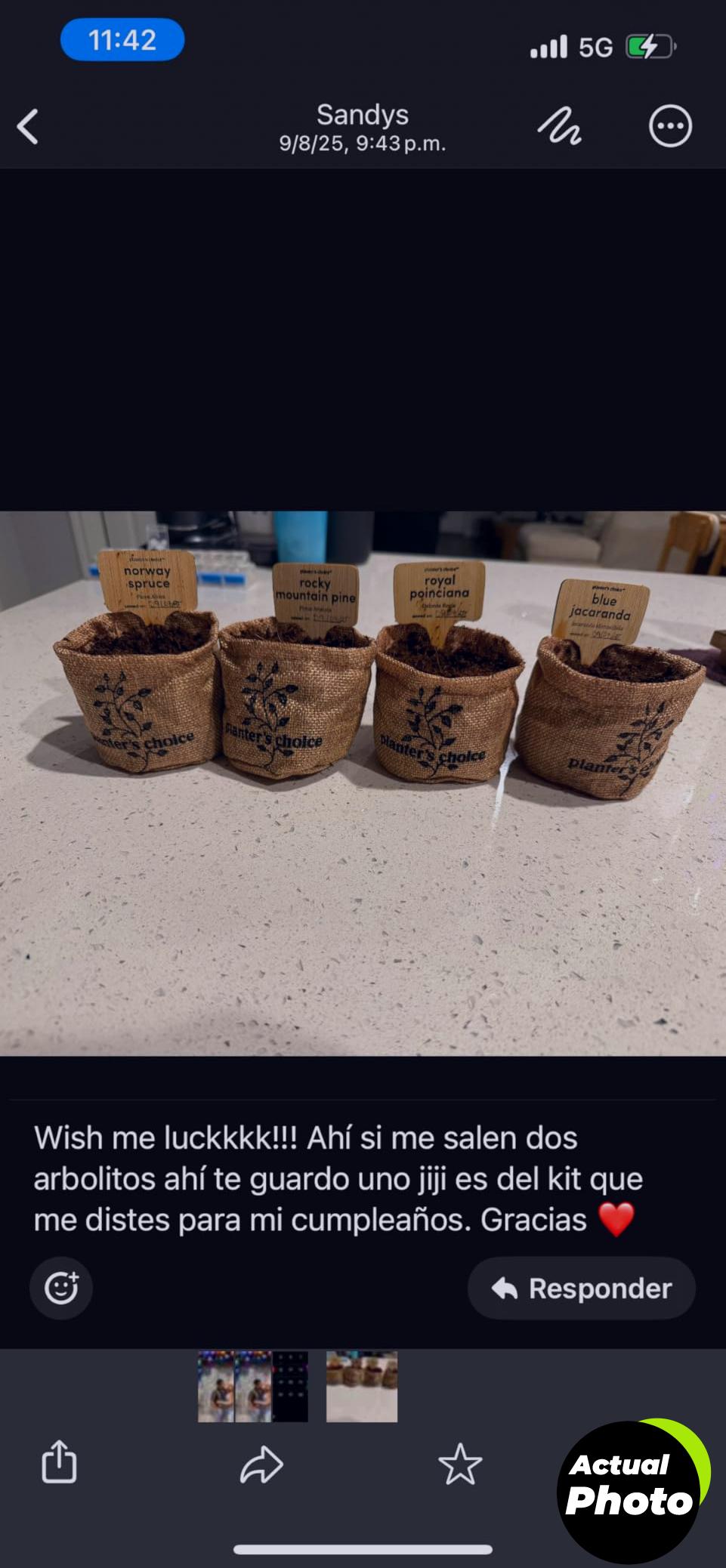 bonsai-kit-gardening-gift-starter-foto-2