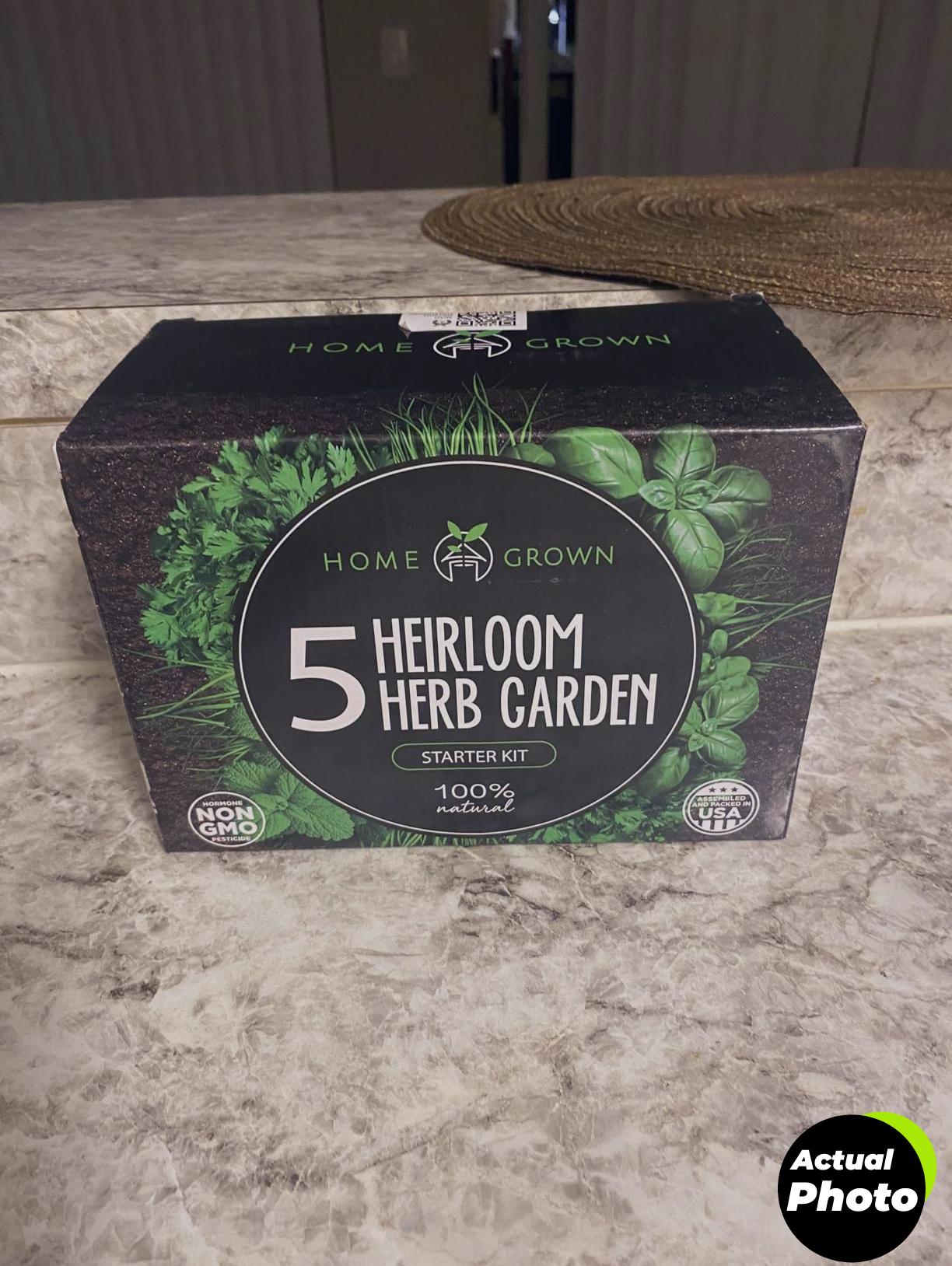 bonsai-tree-kit-4-unique-foto-1