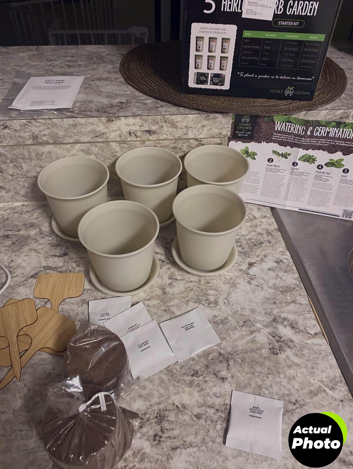 bonsai-tree-kit-4-unique-foto-2