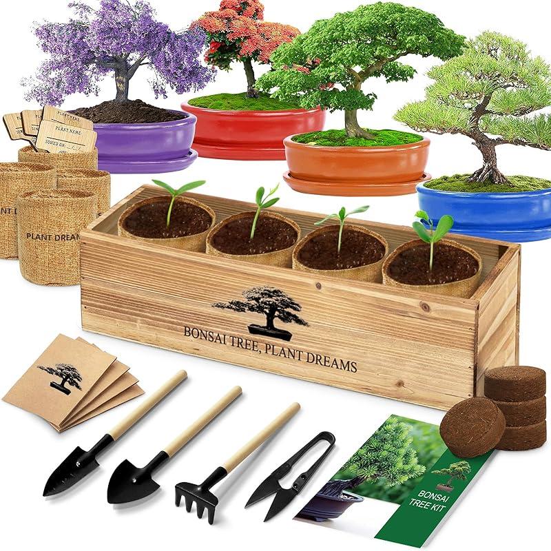 Great starter kit for bonsai enthusiasts and plant lovers!