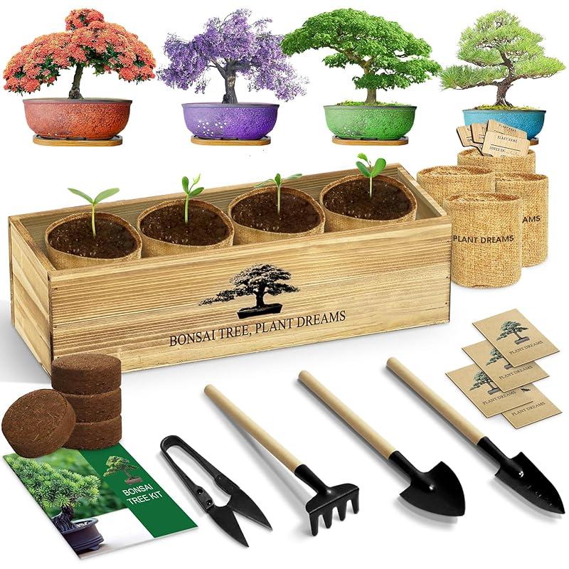 My Take on the Unique Bonsai Tree Kit: A Great Gift Idea!