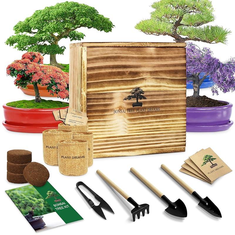 Discover the Joy of Gardening with the Unique Bonsai Tree Kit