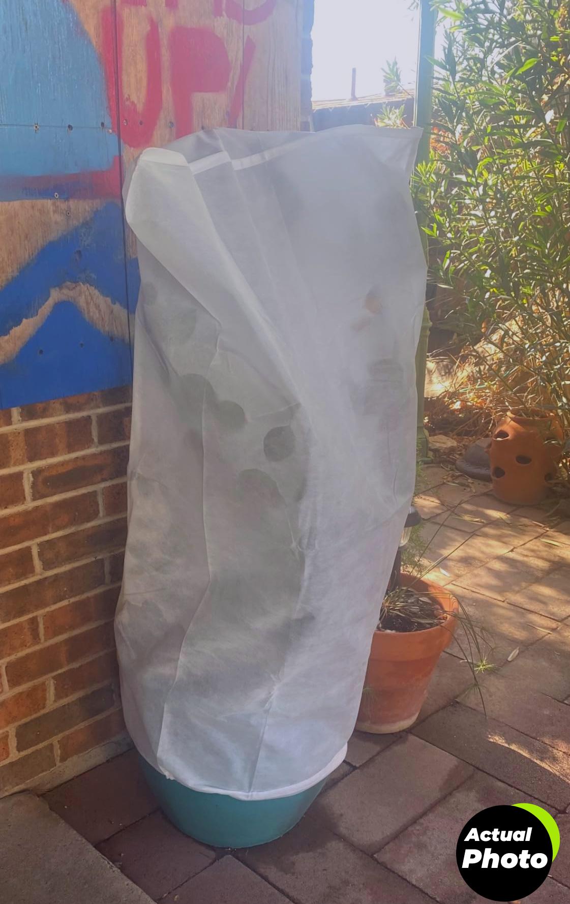 eaone-12-pack-plant-covers-frost-protection-foto-1