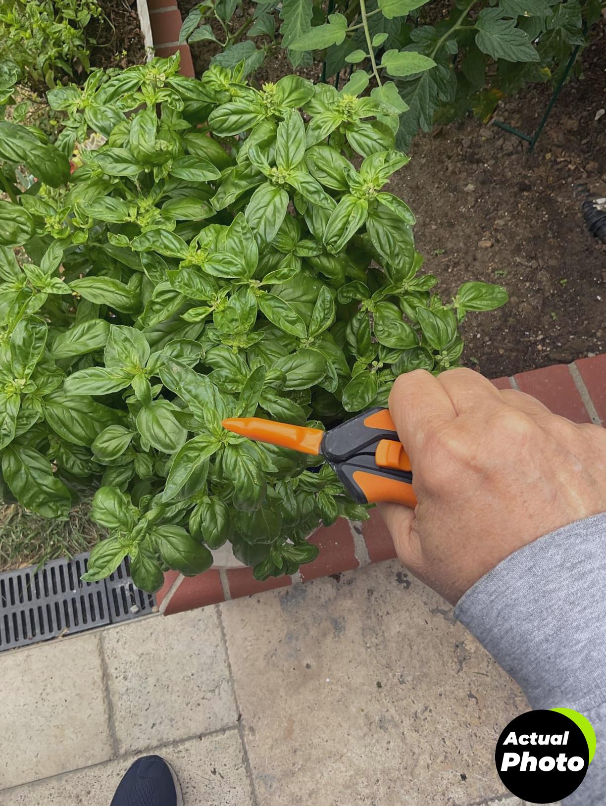 fiskars-pruning-shears-6-inch-micro-tip-foto-3