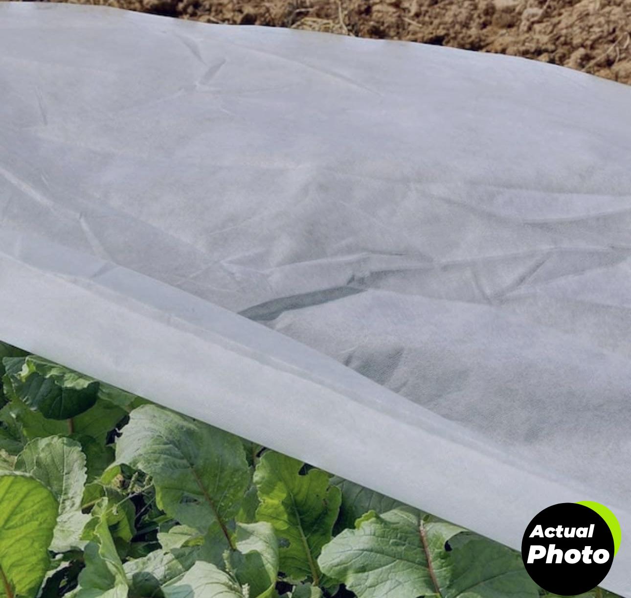 frost-cloth-plant-cover-10ft-foto-3