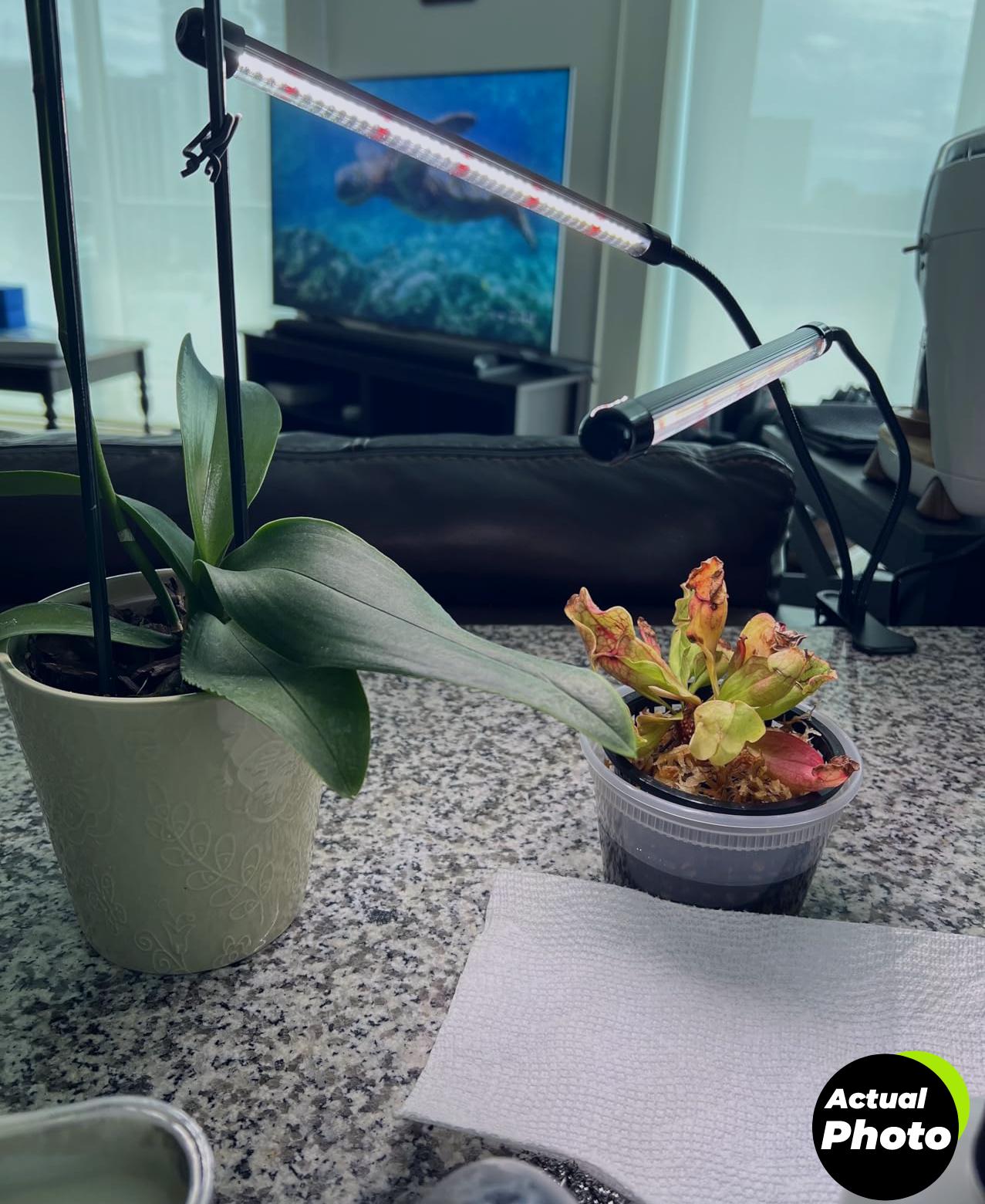 gooingtop-clip-grow-light-6000k-full-spectrum-foto-1
