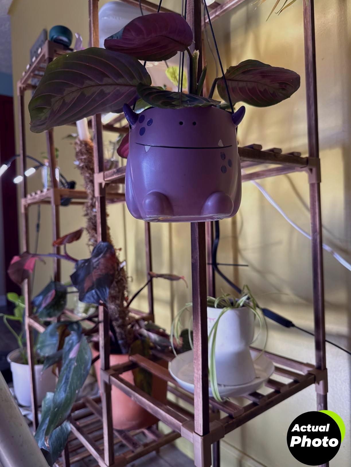 gooingtop-clip-grow-light-6000k-full-spectrum-foto-2