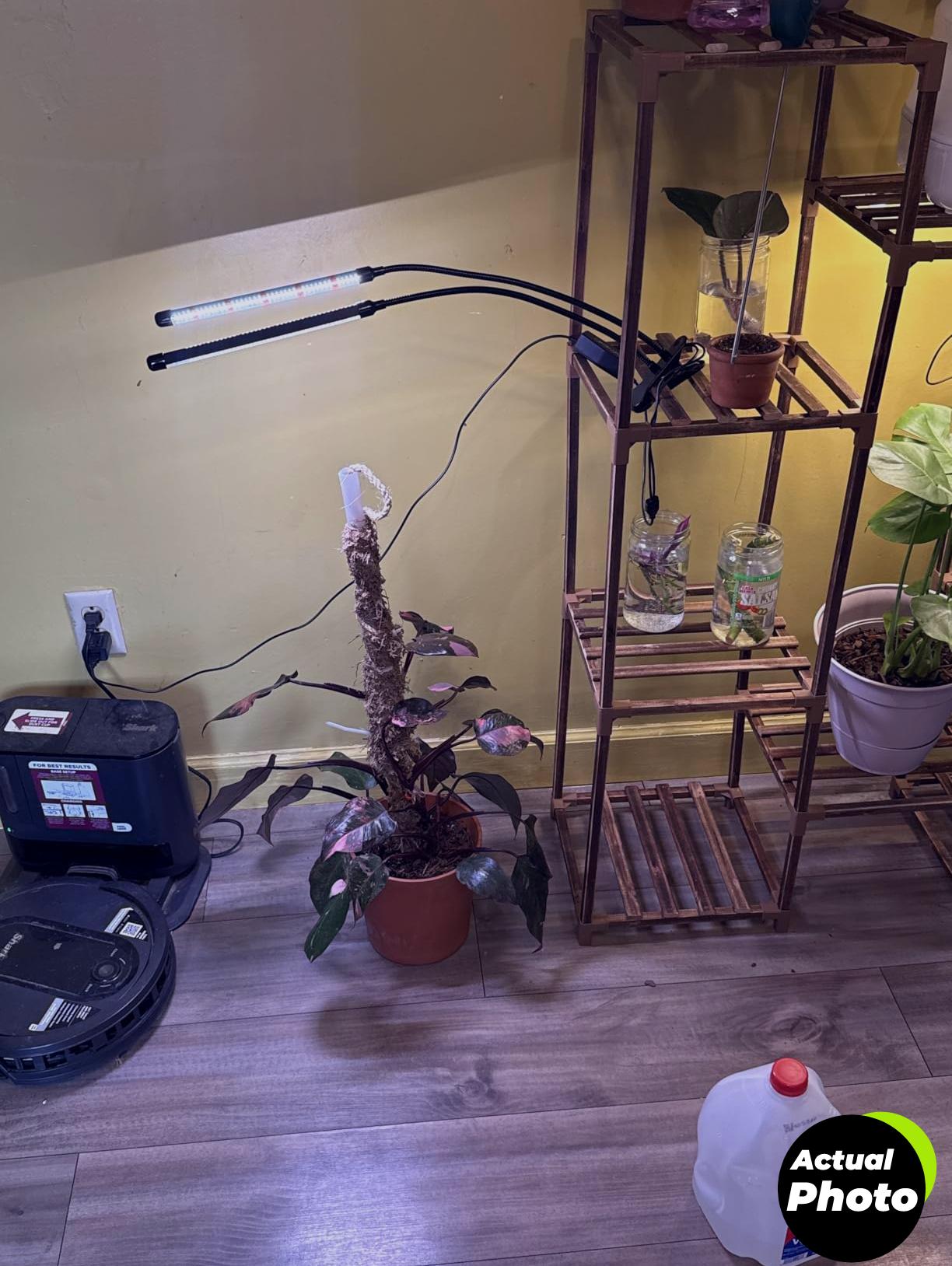 gooingtop-clip-grow-light-6000k-full-spectrum-foto-3