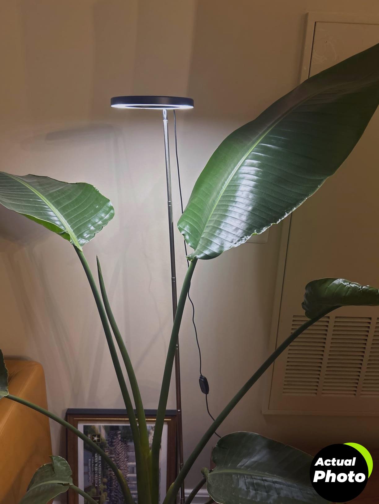 grow-lights-indoor-plants-2023-full-spectrum-lamp-foto-1
