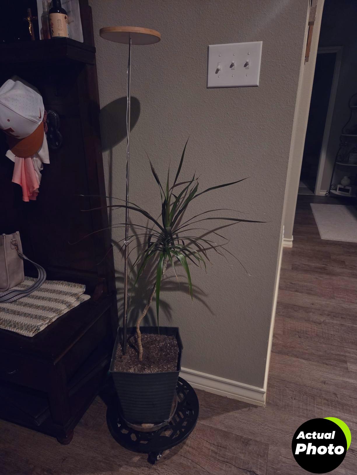 grow-lights-indoor-plants-2023-full-spectrum-lamp-foto-2