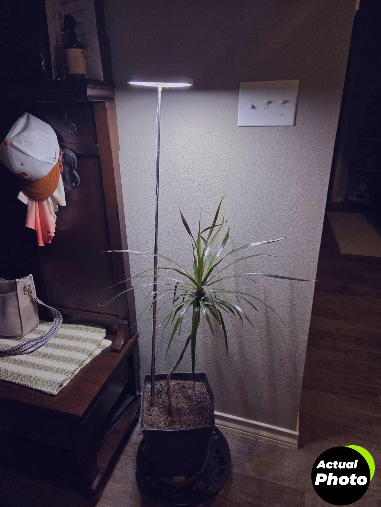 grow-lights-indoor-plants-2023-full-spectrum-lamp-foto-3
