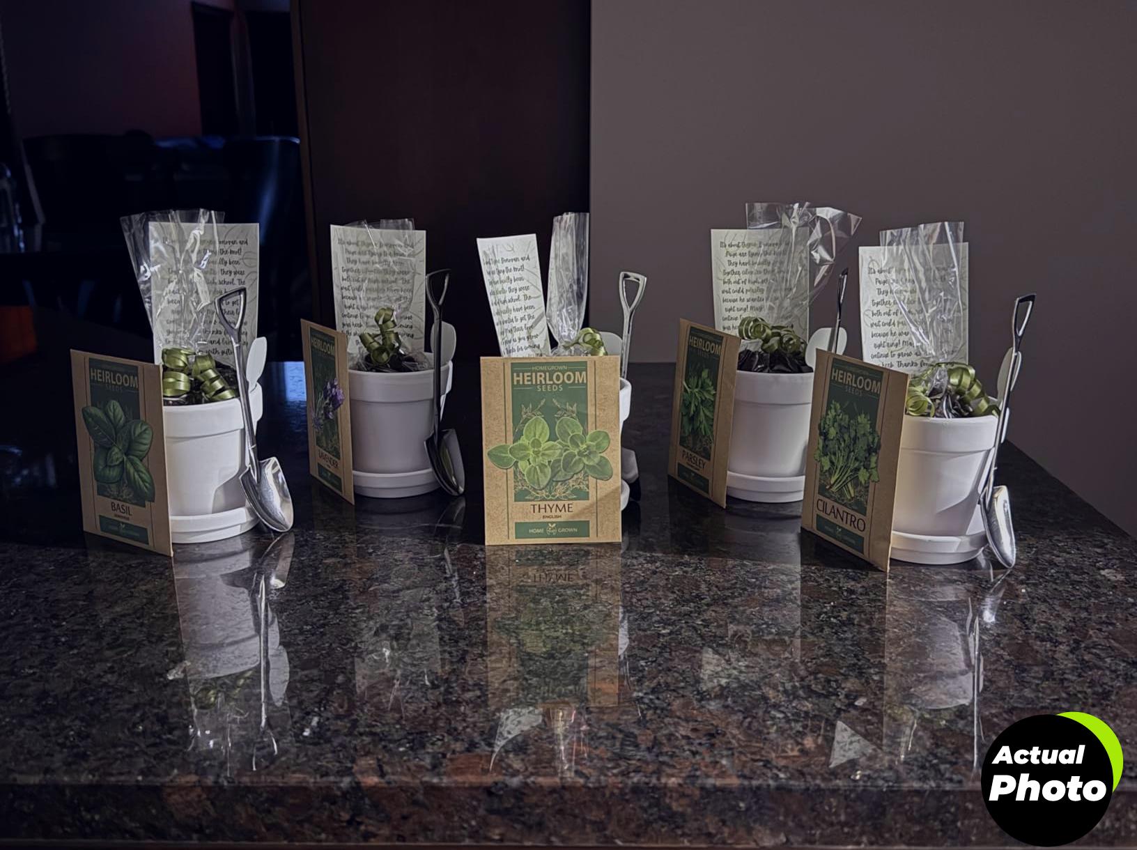 home-grown-herb-seeds-kit-15-variety-pack-foto-1