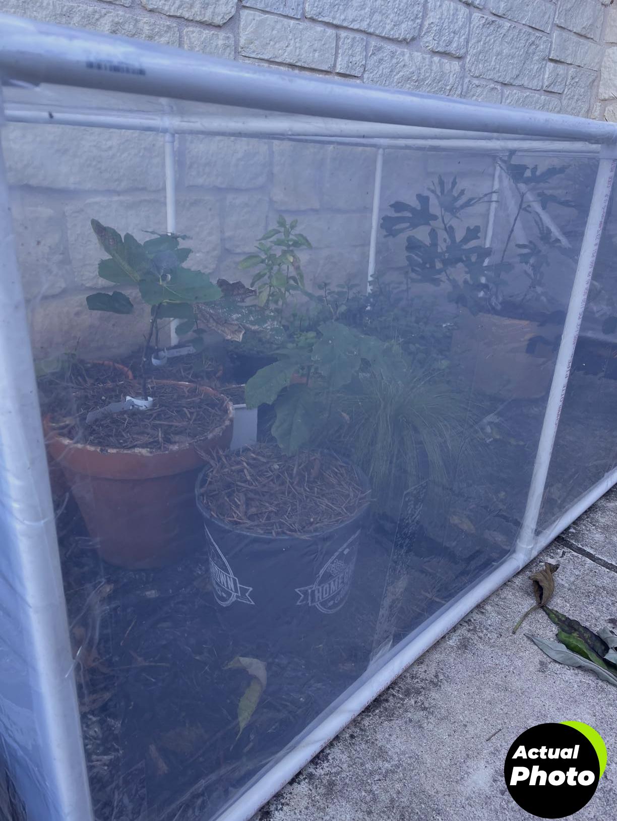 legigo-plant-covers-10x50-clear-plastic-foto-1