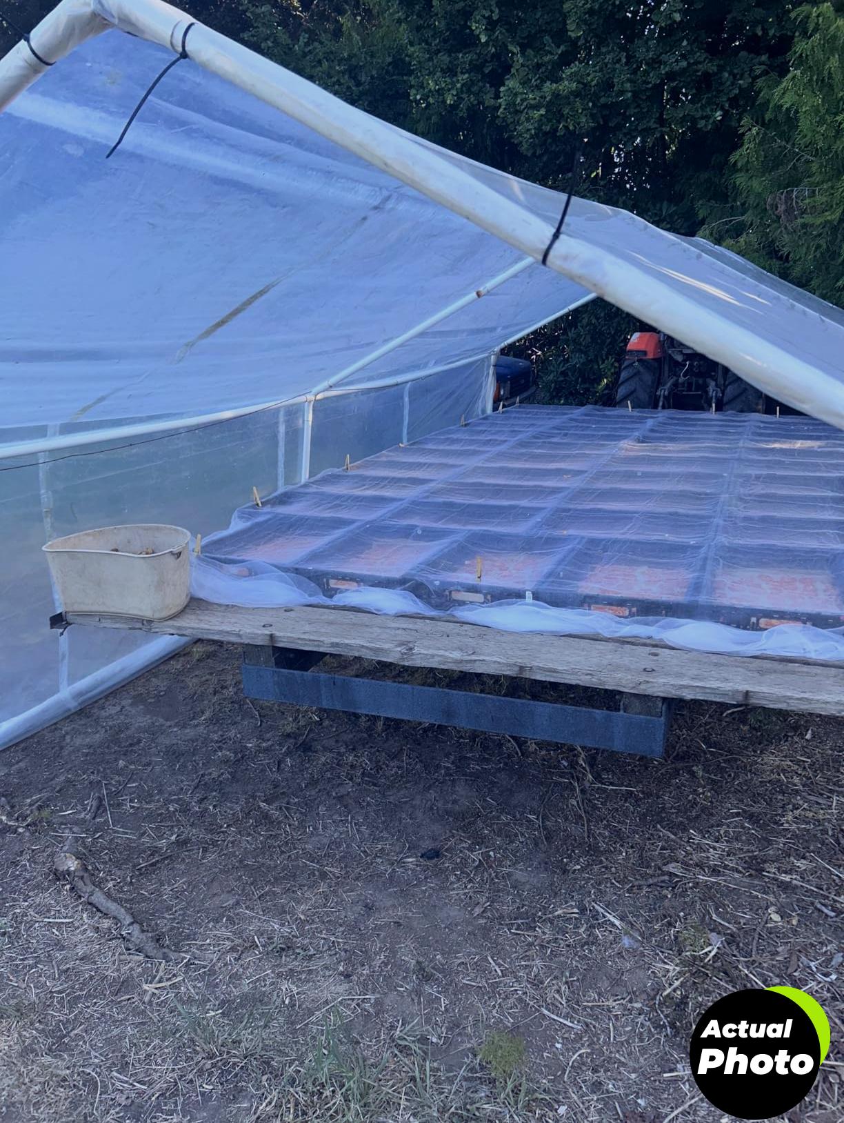 legigo-plant-covers-10x50-clear-plastic-foto-3