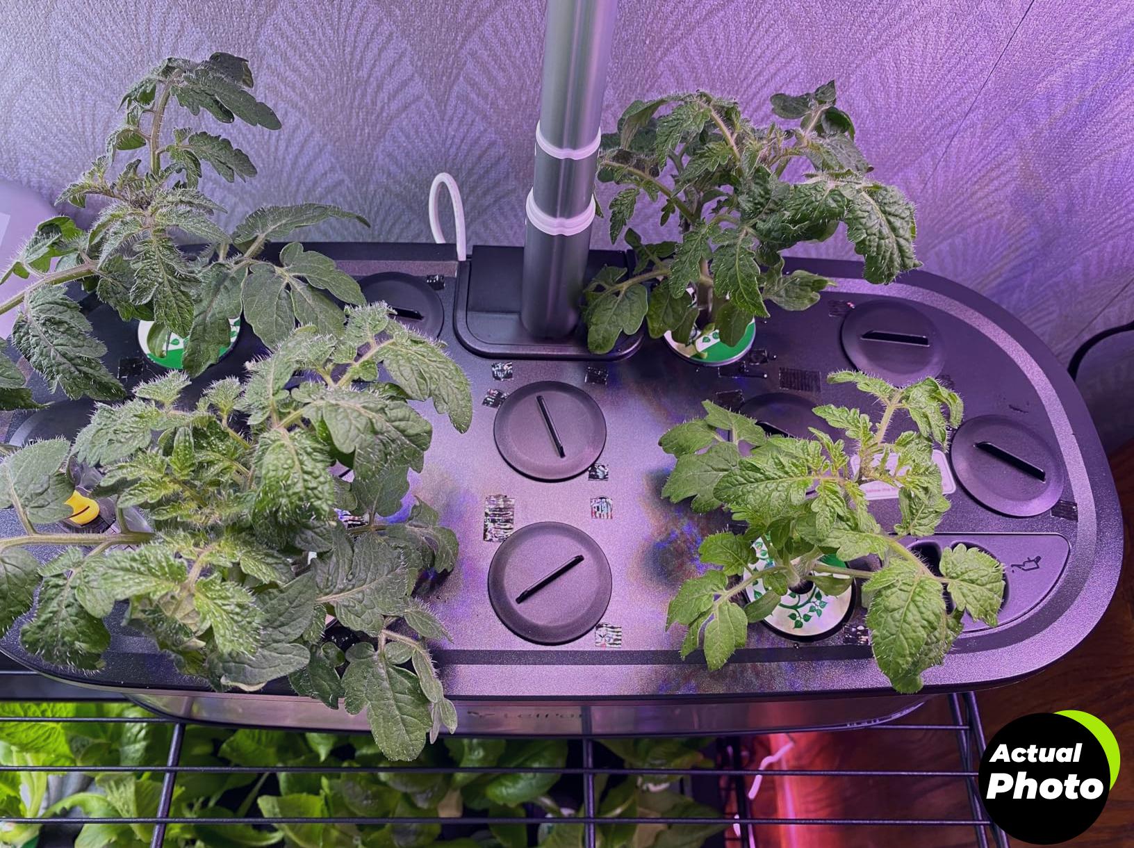 letpot-hydroponics-garden-kit-12-pods-foto-2