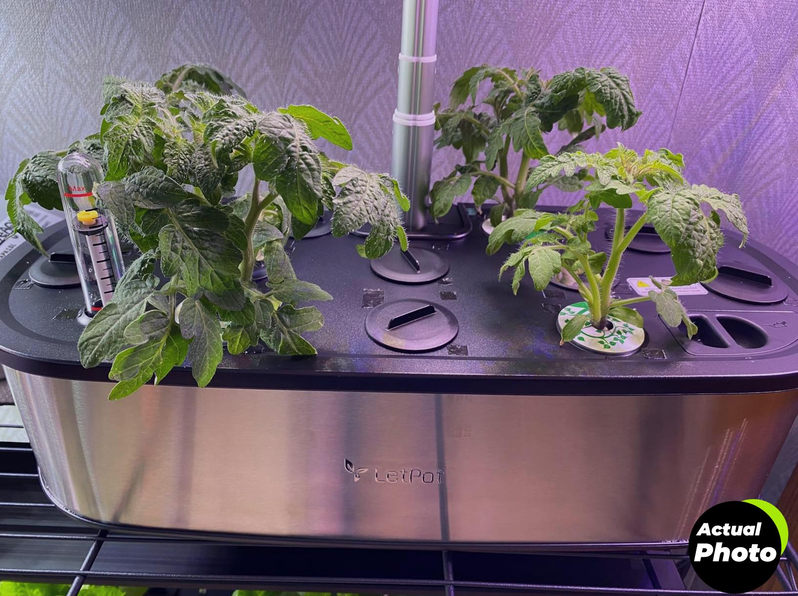 letpot-hydroponics-garden-kit-12-pods-foto-3