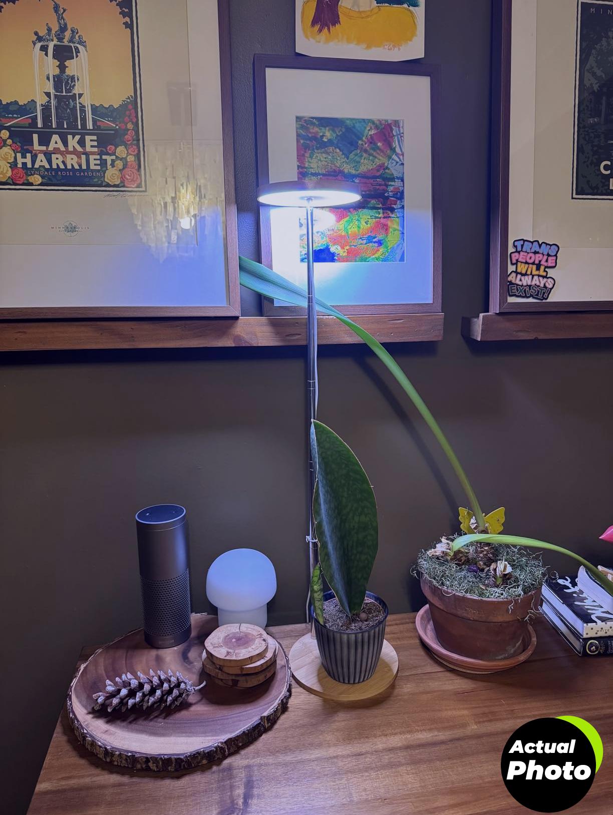 lorde-grow-light-indoor-plant-lamp-full-spectrum-foto-3