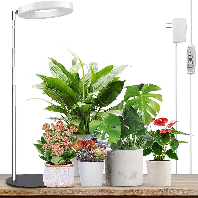 Can the LORDEM Grow Light Transform Your Indoor Plants’ Growth?