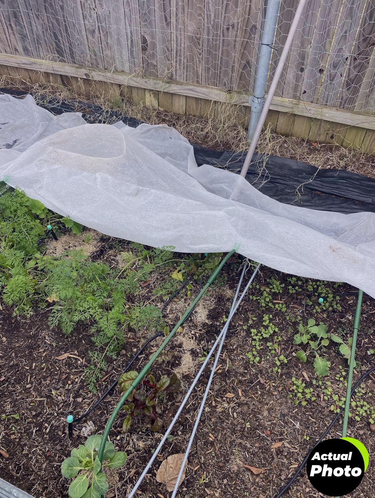 maqihan-plant-cover-frost-blanket-6-5x13-foto-1