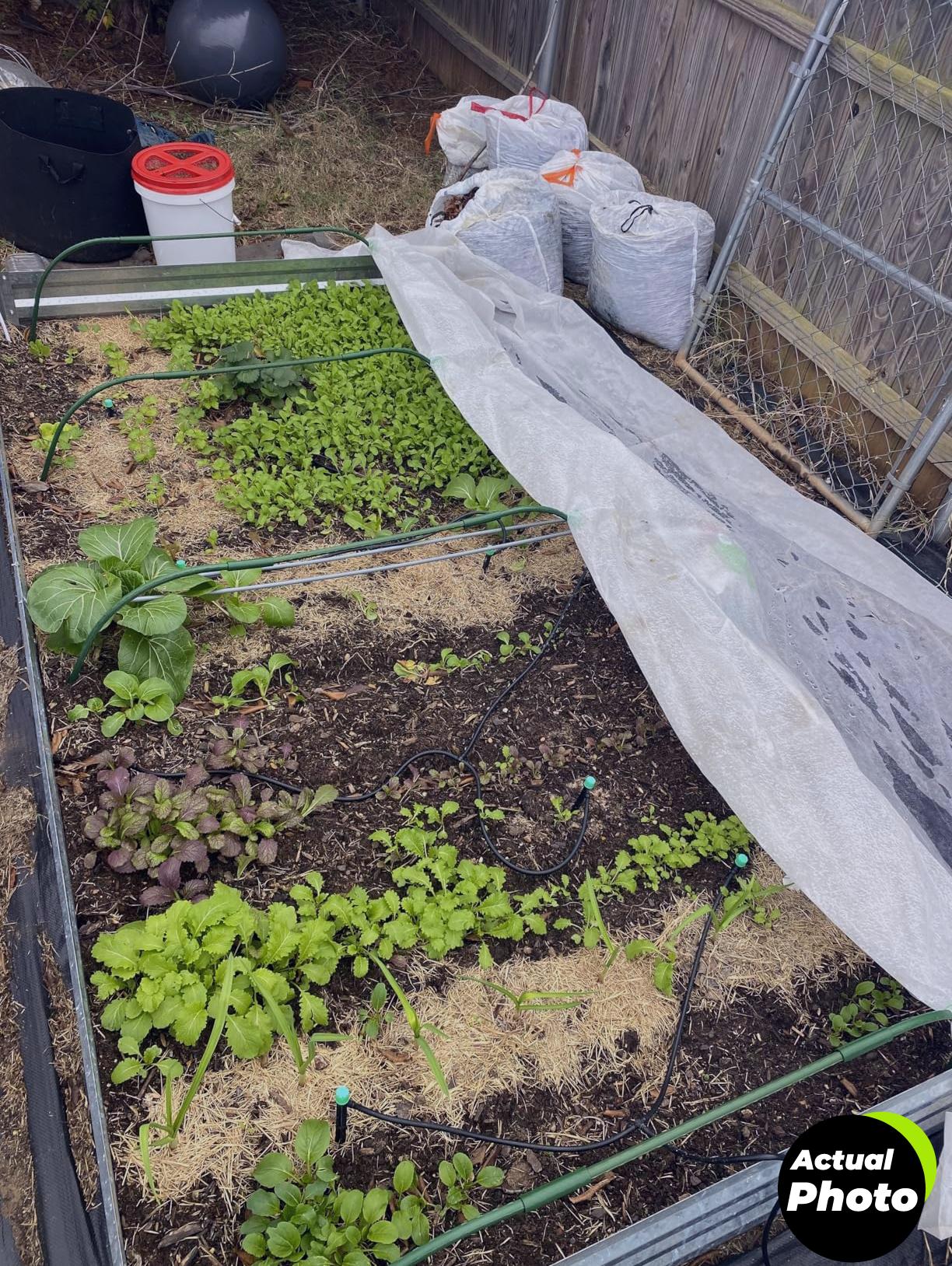 maqihan-plant-cover-frost-blanket-6-5x13-foto-2