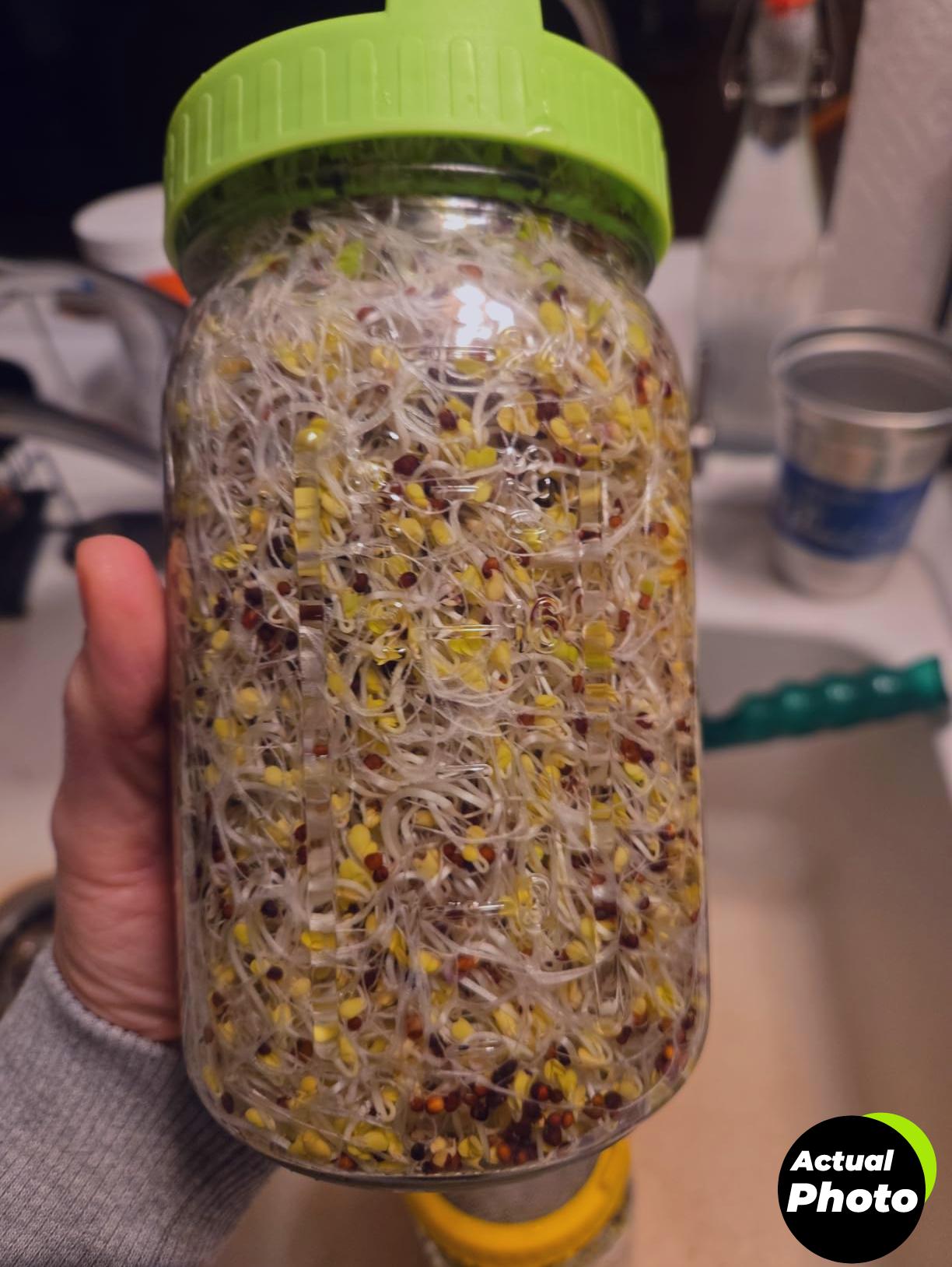 nature-jims-broccoli-sprouts-seeds-8oz-foto-1