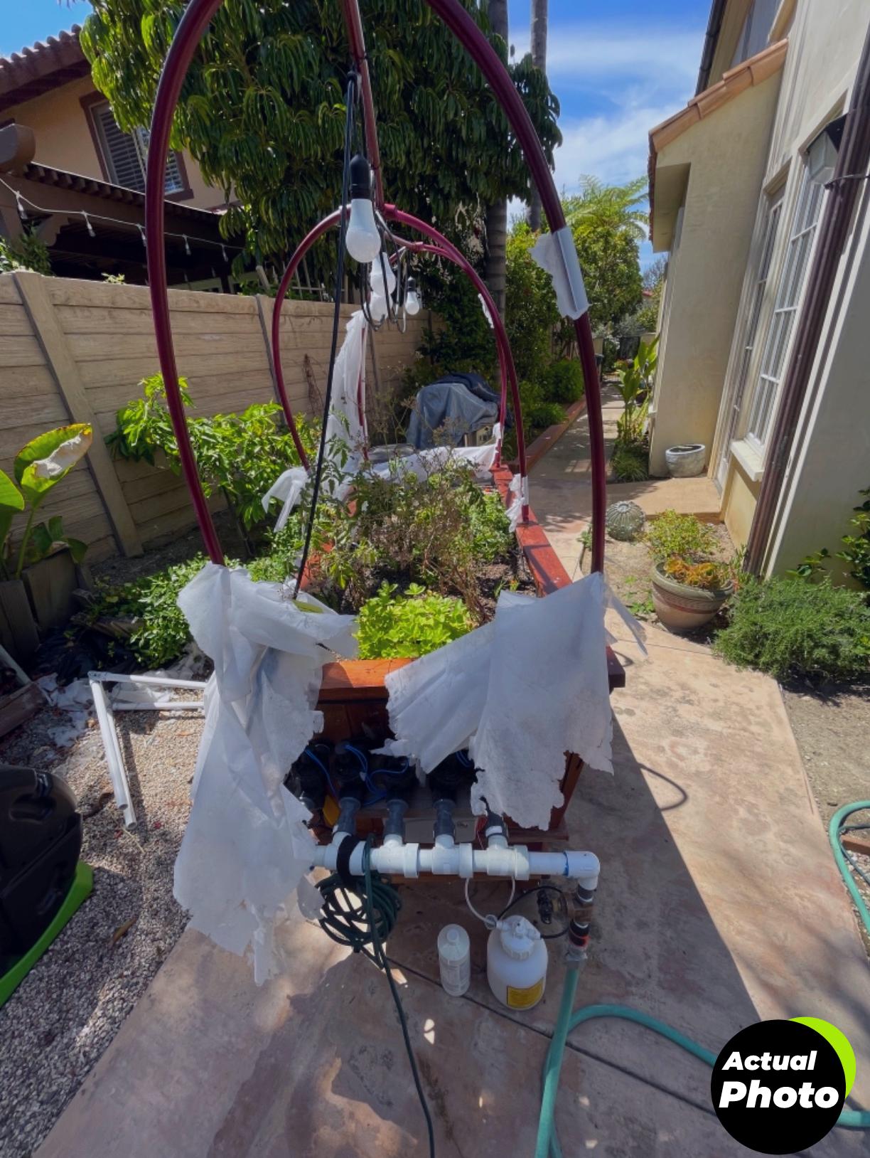 plant-cover-frost-blanket-10ft-foto-3