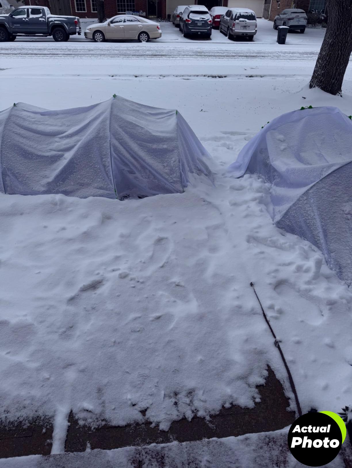 plant-cover-frost-protection-10ft-floating-row-cover-foto-1