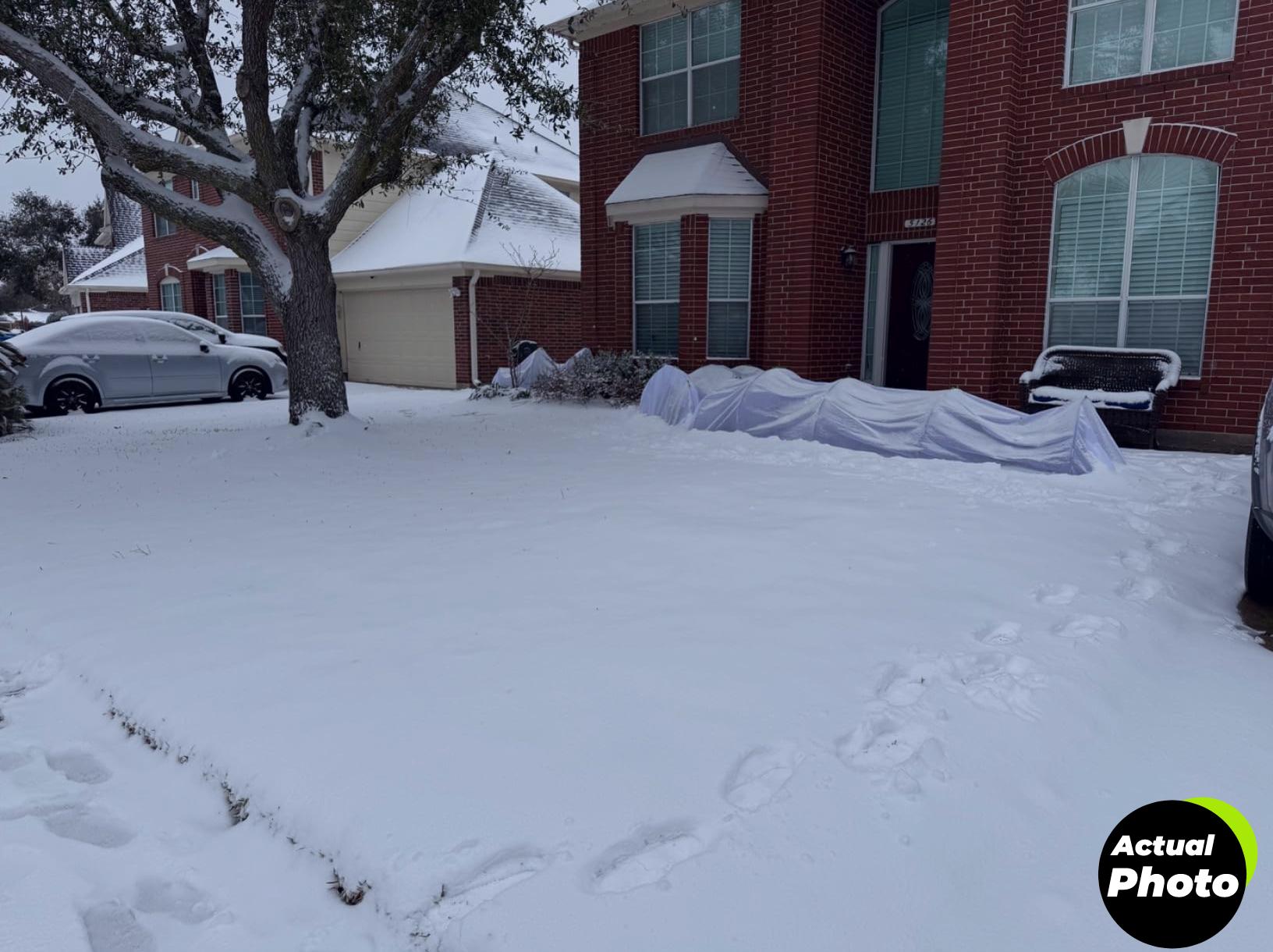plant-cover-frost-protection-10ft-floating-row-cover-foto-2