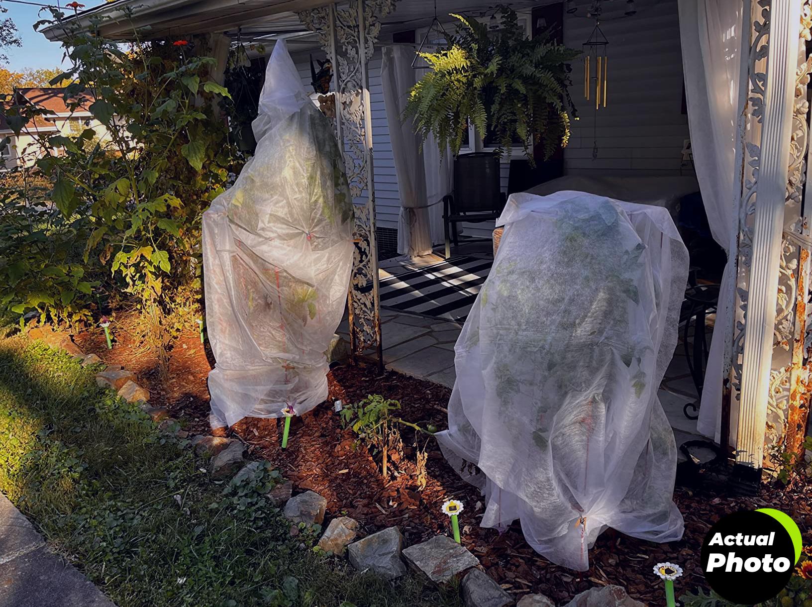 plant-cover-frost-protection-10ft-floating-row-cover-foto-3