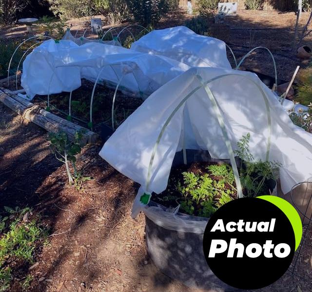 plant-covers-frost-protection-10ft-x-30ft-foto-1