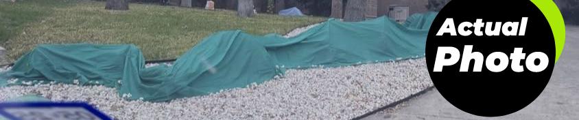 plant-covers-frost-protection-10ft-x-30ft-foto-3