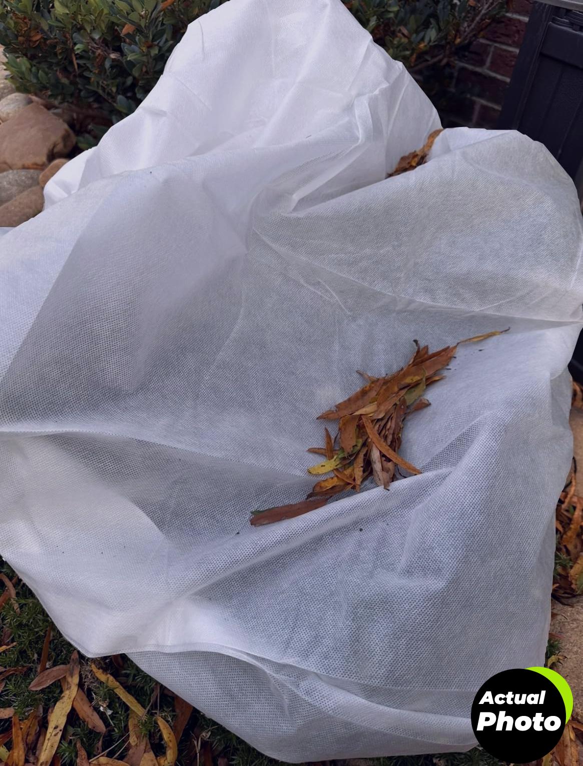 plant-covers-frost-protection-2-pack-48x72-foto-1