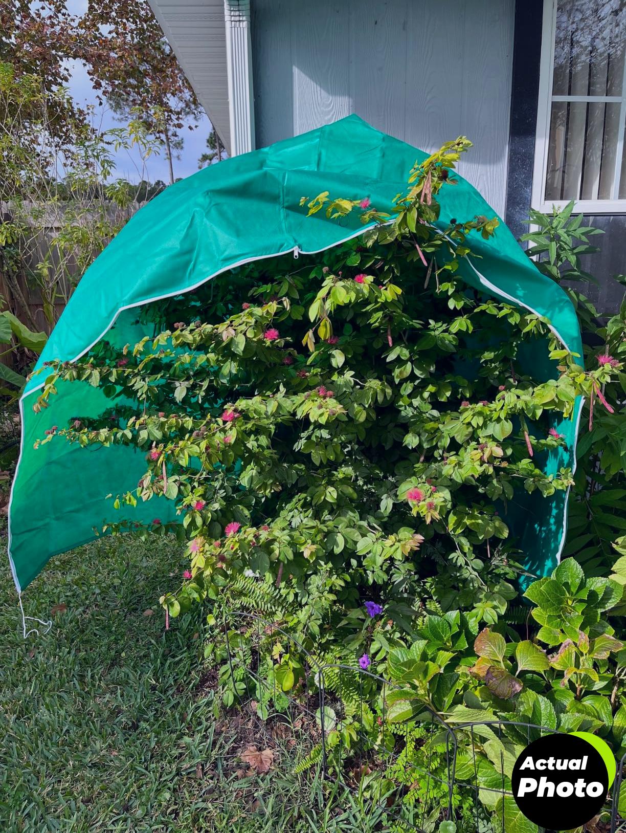 plant-covers-frost-protection-2-pack-75x55-foto-3