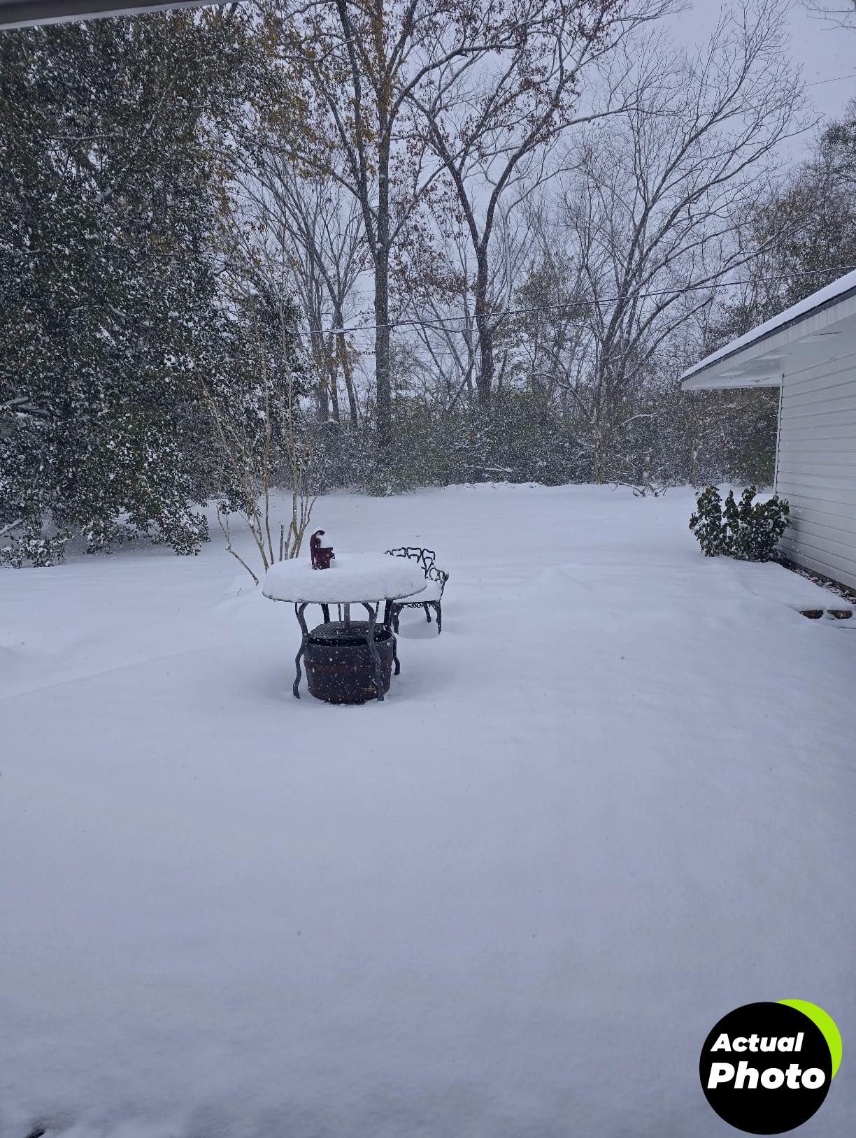 plant-covers-large-protection-pack-60w-70h-foto-1