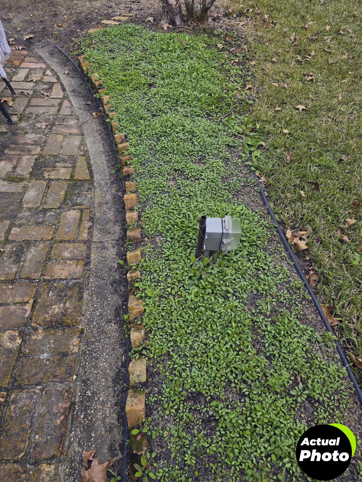 plant-covers-large-protection-pack-60w-70h-foto-2