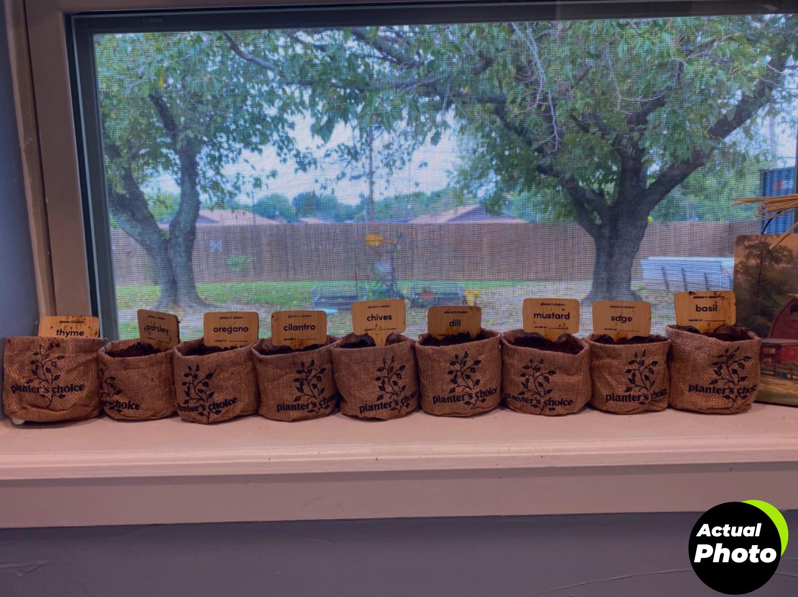 planters-choice-indoor-herb-garden-kit-foto-3