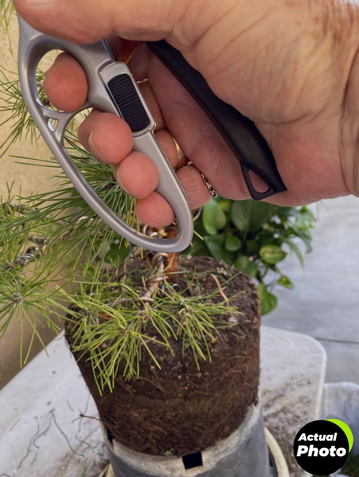 sharp-garden-shears-3x-ultra-sharp-germany-foto-3