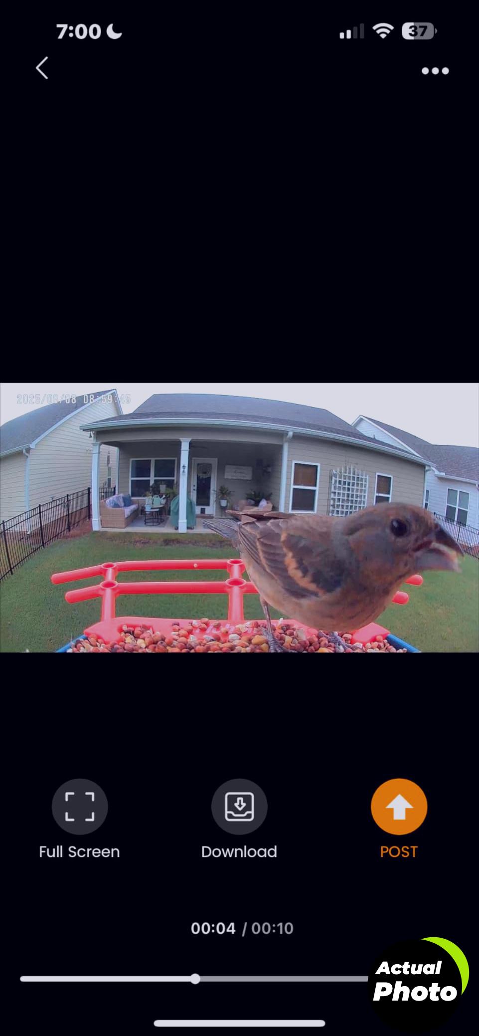 smart-bird-feeder-2k-deep-blue-camera-foto-3