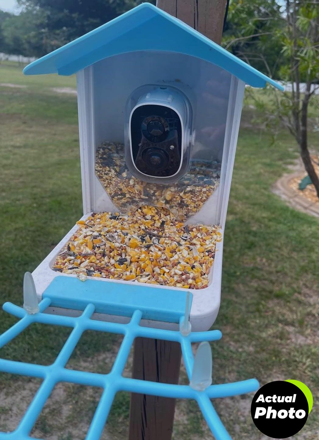 smart-bird-feeder-64gb-camera-solar-2k-foto-1