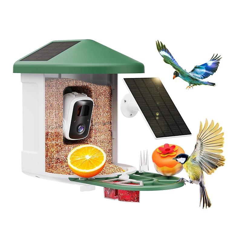Smart Bird Feeder Cam: A Fun Way to Spot and Identify Birds!