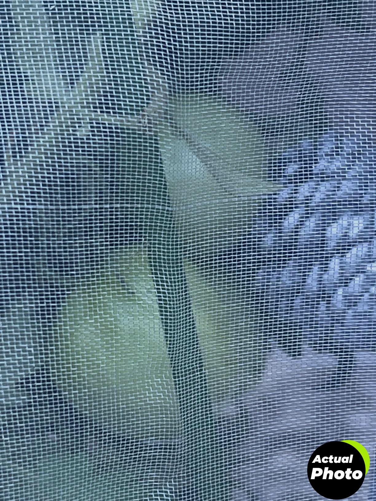 snugniture-plant-cover-frost-blanket-10ft-foto-2