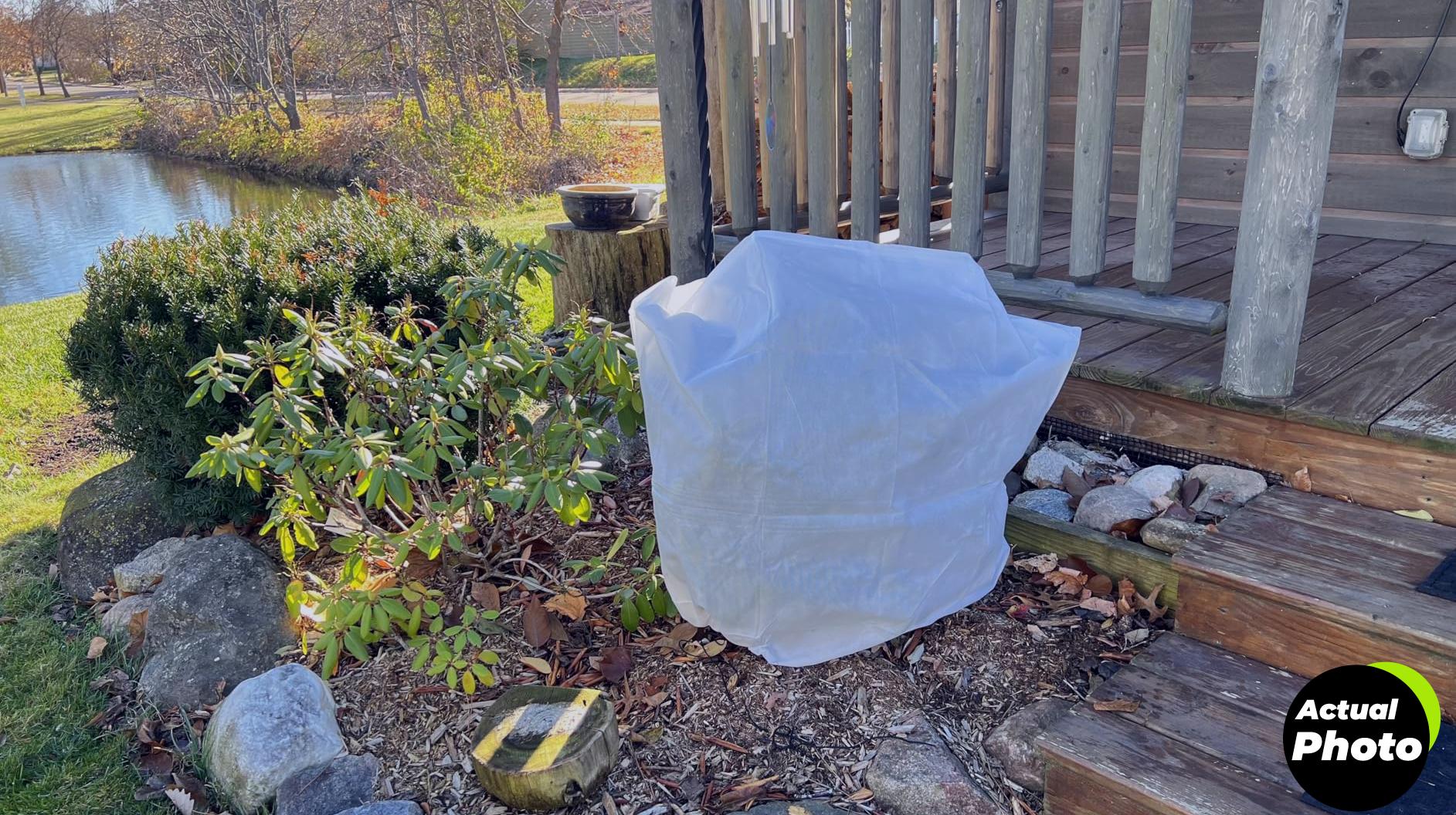 svepndic-winter-plant-covers-4-pcs-foto-2